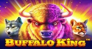 Buffalo King rajazeus