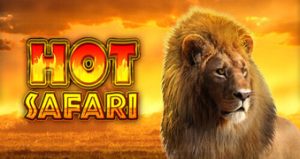 hot safari rajazeus